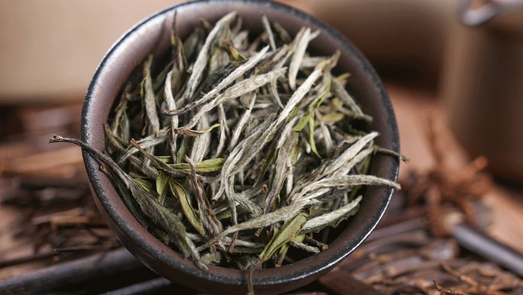 Benefits of White Tea for Health